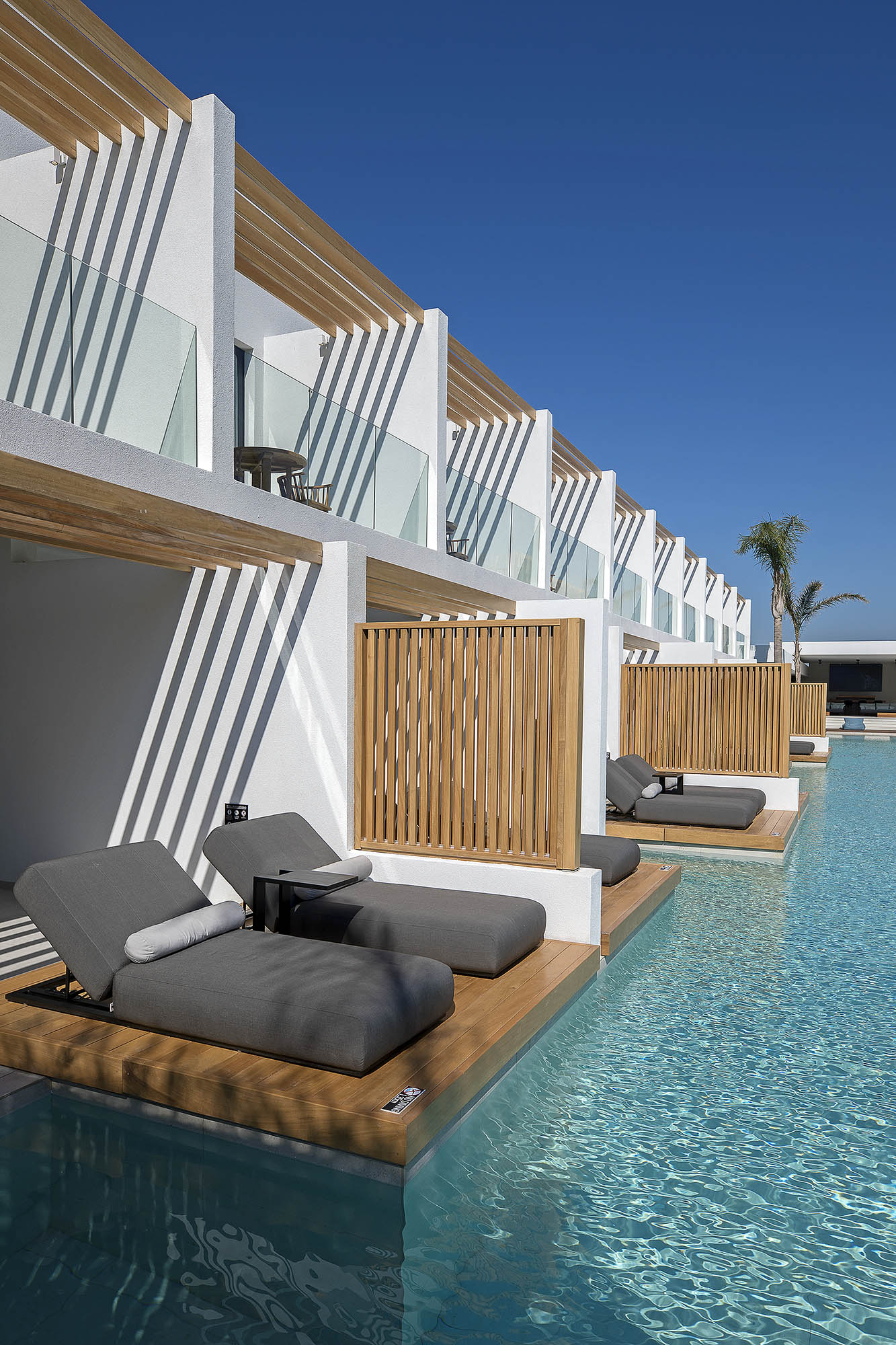 DAndrea-Lagoon header